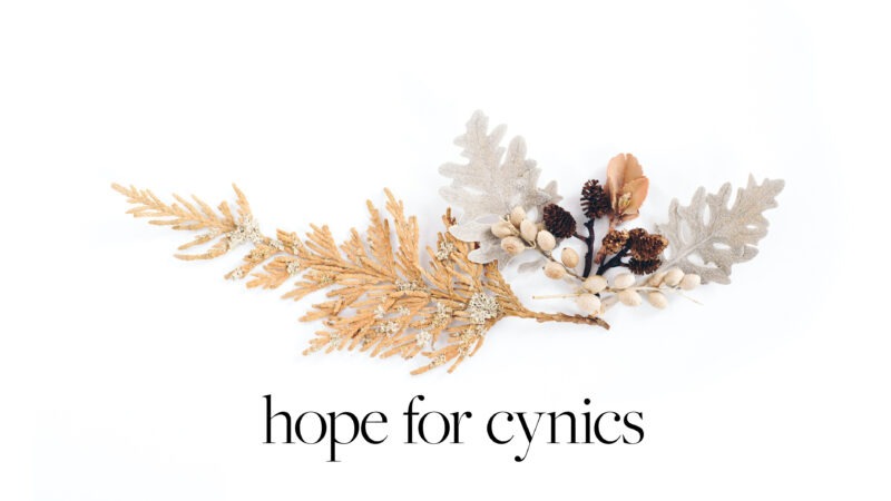 Hope for the Cynics of Wisdom (&Folly) Image